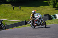 Vintage-motorcycle-club;eventdigitalimages;mallory-park;mallory-park-trackday-photographs;no-limits-trackdays;peter-wileman-photography;trackday-digital-images;trackday-photos;vmcc-festival-1000-bikes-photographs